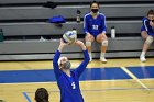 Women’s VB intersquad  Women’s Volleyball inter-squad match. : Women’s Volleyball, VB, inter squad, intersquad